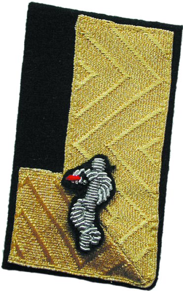 Bezirksfeuerwehrarzt