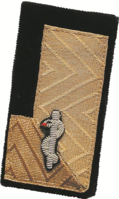 Landesfeuerwehrarzt