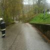 Sturmschaden