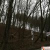 Sturmschaden