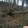 Sturmschaden
