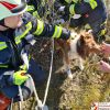 Technischer Einsatz